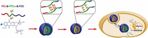 Core–Shell–Corona Micelle Stabilized by Reversible Cross-Linkage for Intracellular Drug Delivery
