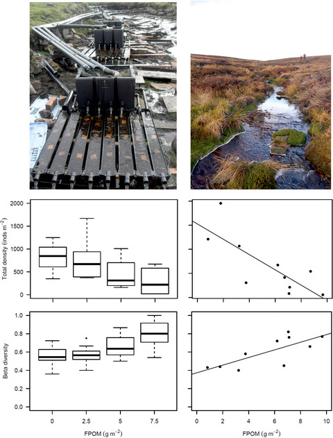 Sediment deposition from eroding peatlands alters headwater invertebrate biodiversity