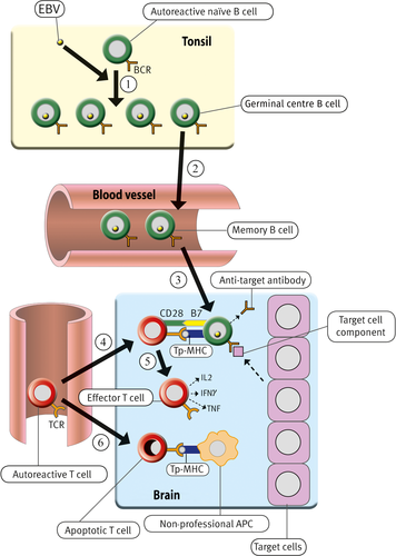Details are in the caption following the image Details are in the caption following the image