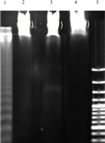 Details are in the caption following the image