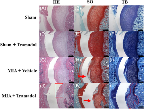 Details are in the caption following the image Details are in the caption following the image
