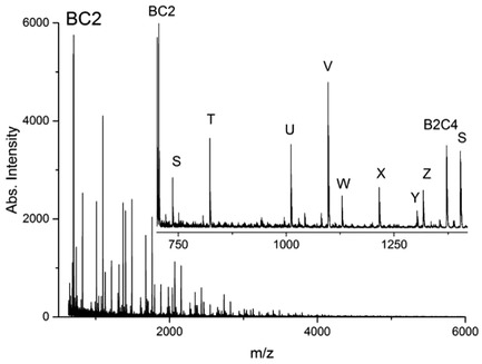 Multicyclic Polyesters of Trimesic Acid and Alkanediols and the Theory of Network Formation