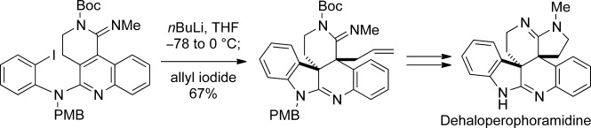 Dearomatizing Conjugate Addition to Quinolinyl Amidines for the Synthesis of Dehaloperophoramidine through Tandem Arylation and Allylation