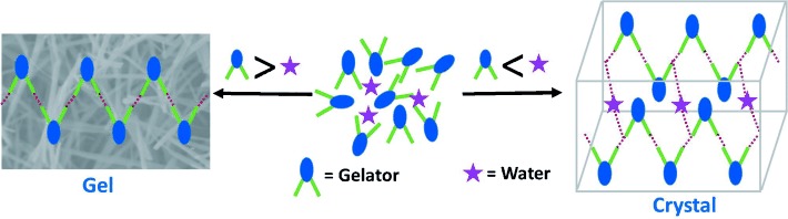 Stoichiometric Sensing to Opt between Gelation and Crystallization