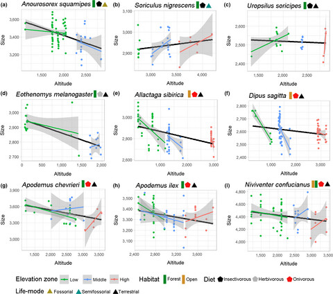 Divergent selection along elevational gradients promotes genetic and phenotypic disparities among small mammal populations