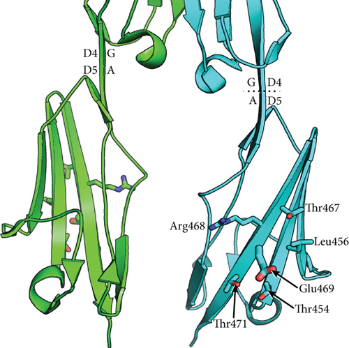 Details are in the caption following the image