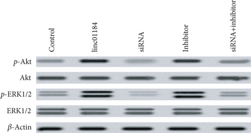 Details are in the caption following the image