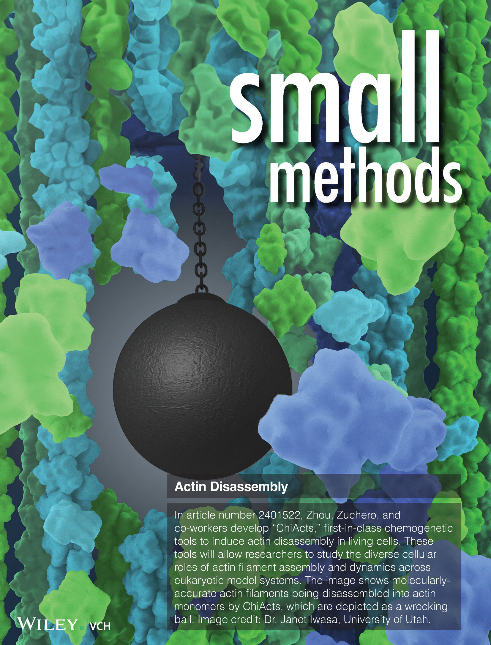 A Chemogenetic Toolkit for Inducible, Cell Type-Specific Actin Disassembly (Small Methods 7/2025) Volume 9 Issue 7, 2025