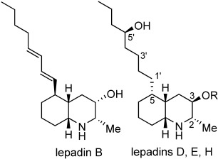 Total Synthesis of Lepadins B, D, E, and H; Determination of the Configuration of the Latter Three Alkaloids