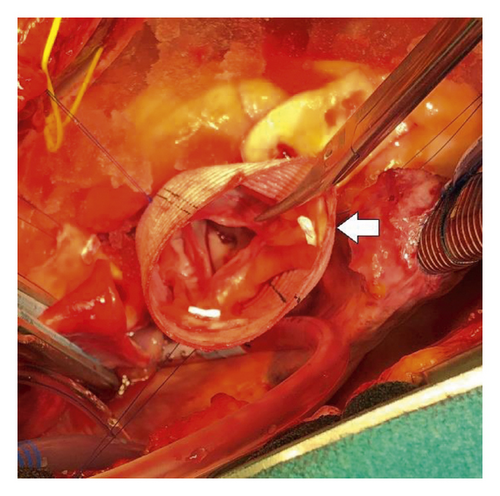 Details are in the caption following the image Details are in the caption following the image