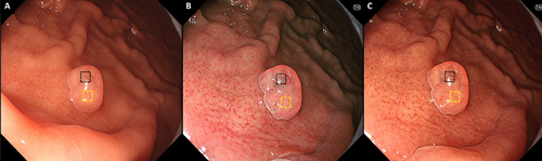 Details are in the caption following the image Details are in the caption following the image