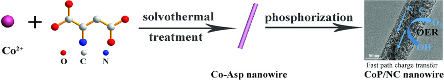 CoP/N-Doped Carbon Nanowire Derived from Co-Based Coordination Polymer as Efficient Electrocatalyst toward Oxygen Evolution Reaction