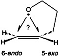5-exo or 6-endo? Exploring Transition State Structures in Cyclizations of 4-Penten-1-oxyl Radicals