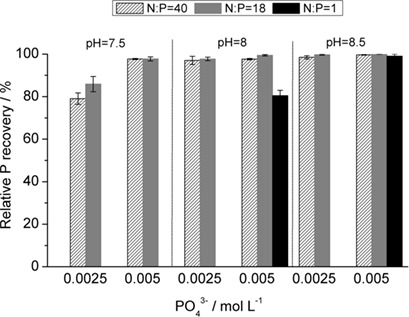 Effects of Solution Composition and Polymer Additive on the Crystallization of Struvite