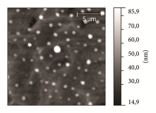 Details are in the caption following the image