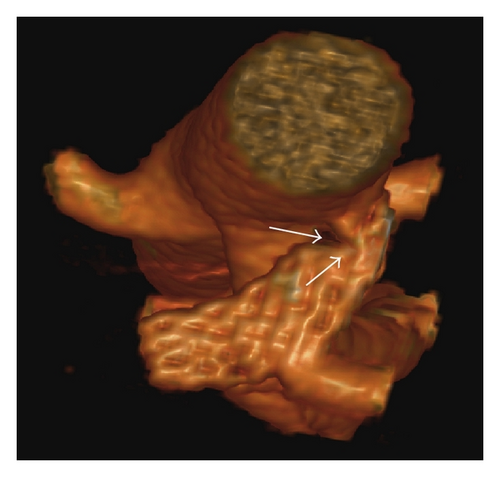 Details are in the caption following the image Details are in the caption following the image