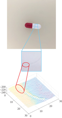 Details are in the caption following the image Details are in the caption following the image