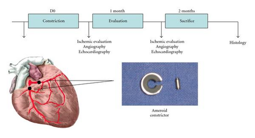 Details are in the caption following the image Details are in the caption following the image