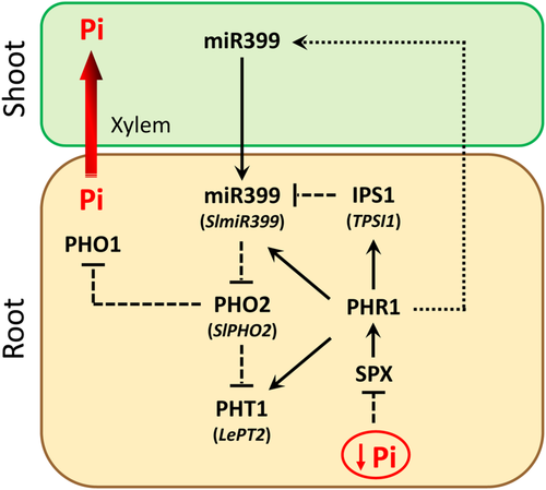 Details are in the caption following the image