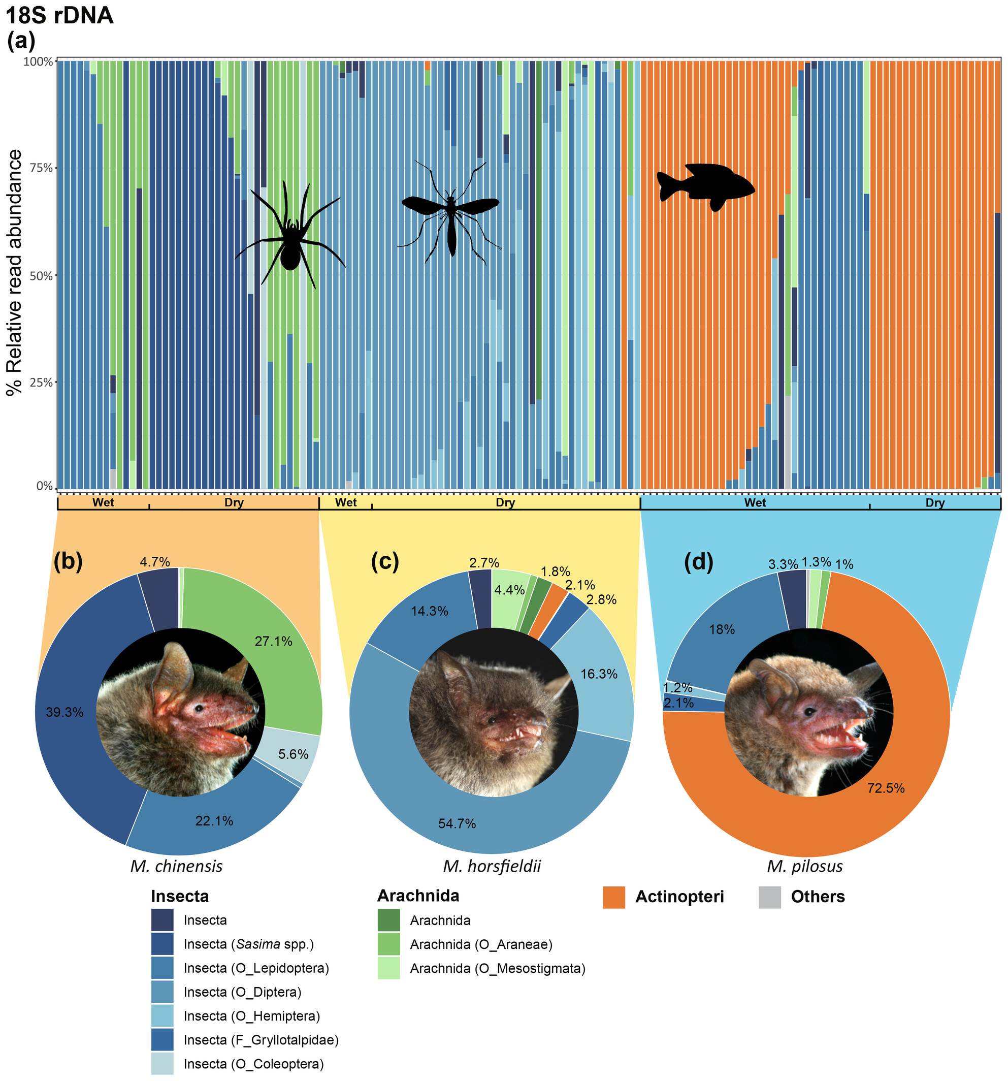 Foraging Niche Partitioning of Three Myotis Bat Species and Marine Fish Consumption by Myotis pilosus in a Subtropical East Asian Region