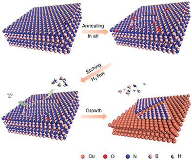 Facile Growth of h-BN Films by Using Surface-Activated h-BN Powders as Precursors
