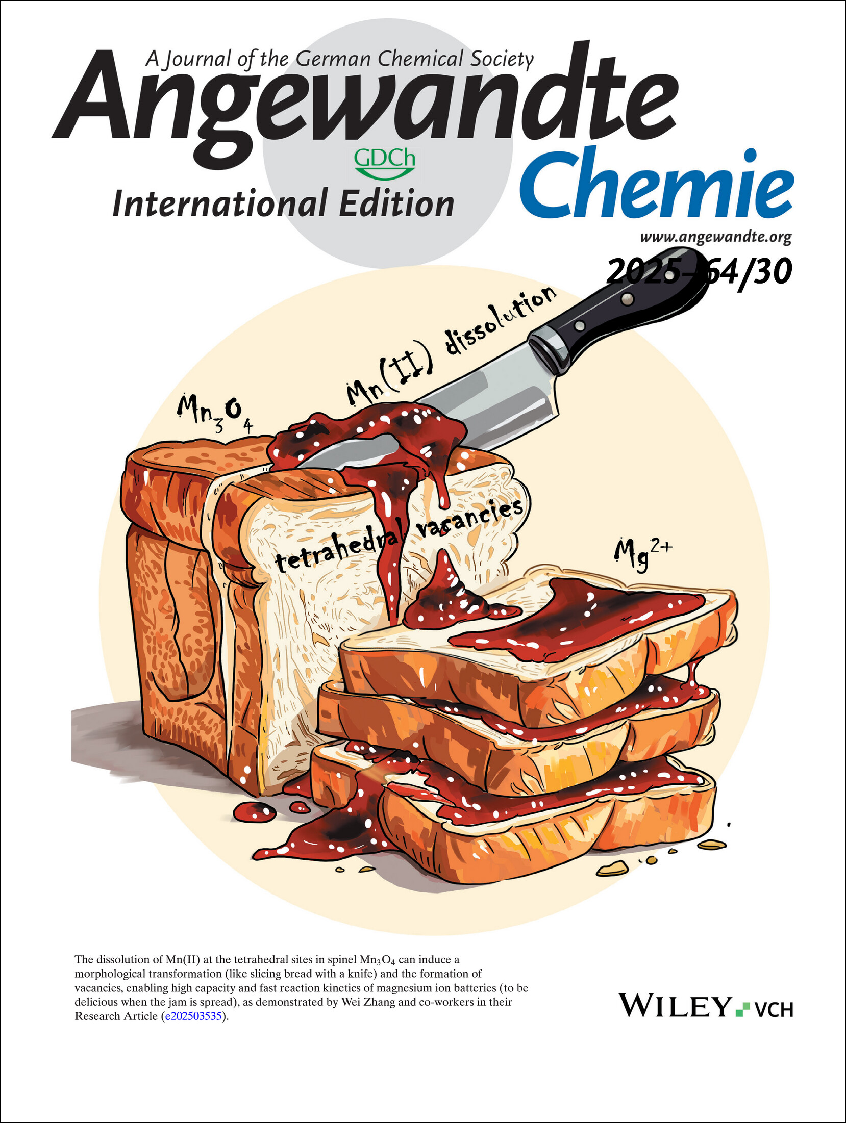 Frontispiece: Utilizing the Mn(II) Dissolution-Induced Vacancy for Optimum Mg2+ Storage of Spinel Mn3O4 Volume 64 Issue 30, 2025