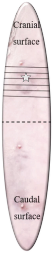 Details are in the caption following the image