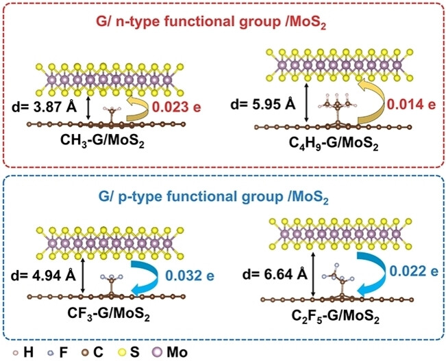 Controllable Graphene/MoS2 Heterointerfaces by Perpendicular Surface Functionalization