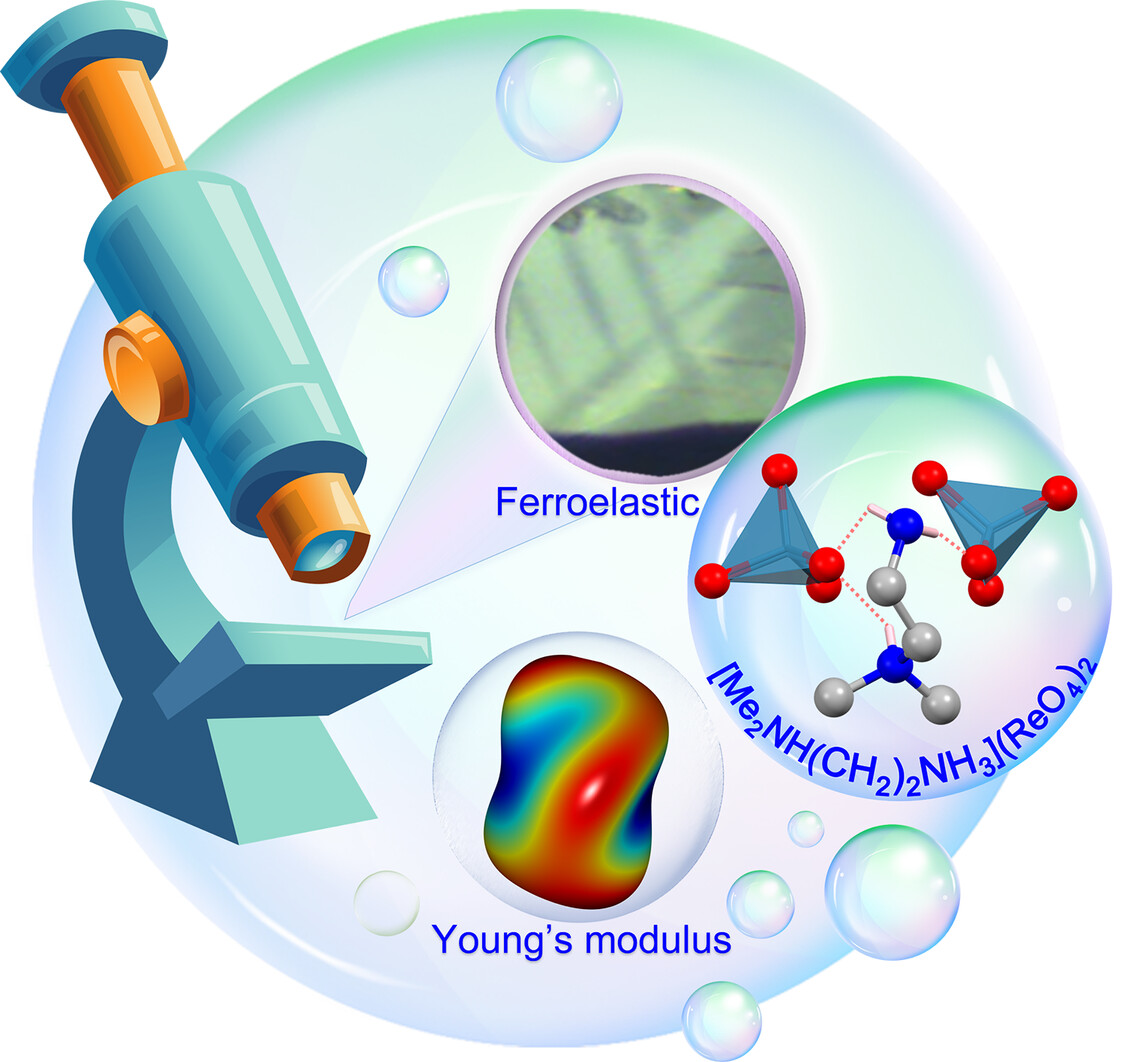 Molecular Ferroelastic Induced by Mono-/Double-Protonation Strategy