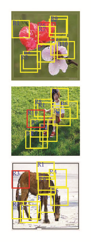 Details are in the caption following the image Details are in the caption following the image