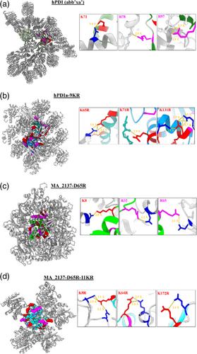 Details are in the caption following the image Details are in the caption following the image