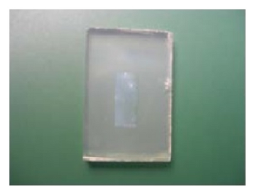 Details are in the caption following the image