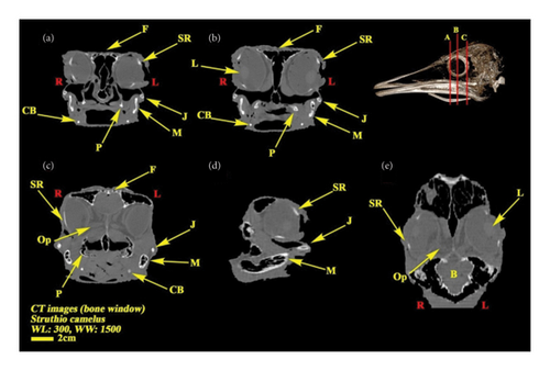 Details are in the caption following the image