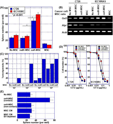Oxidized high mobility group B-1 enhances metastability of colorectal cancer via modification of mesenchymal stem/stromal cells