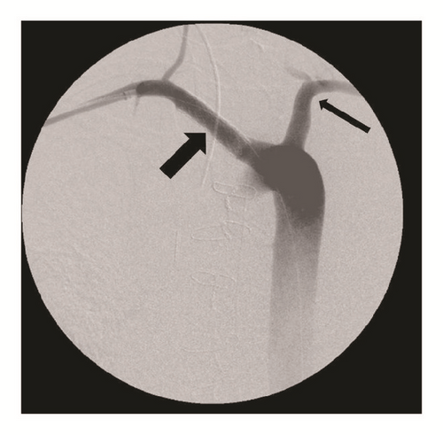 Details are in the caption following the image Details are in the caption following the image