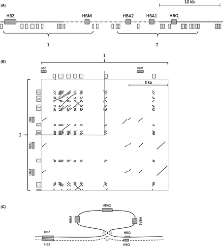 Details are in the caption following the image Details are in the caption following the image