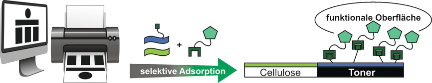 Ein einfacher Zugang zu funktionalen Mustern auf Cellulosepapier durch Kombination von Laserdruck und materialspezifischer Peptidadsorption