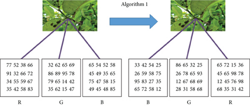 Details are in the caption following the image Details are in the caption following the image