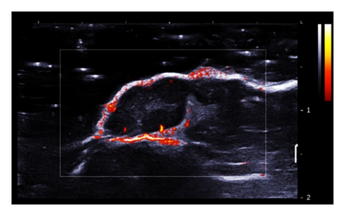 Details are in the caption following the image Details are in the caption following the image
