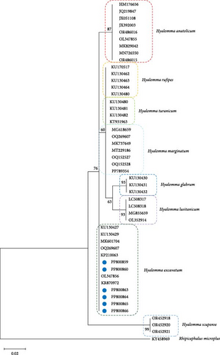 Details are in the caption following the image Details are in the caption following the image