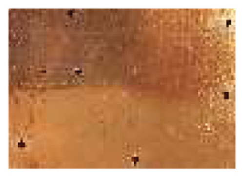 Details are in the caption following the image