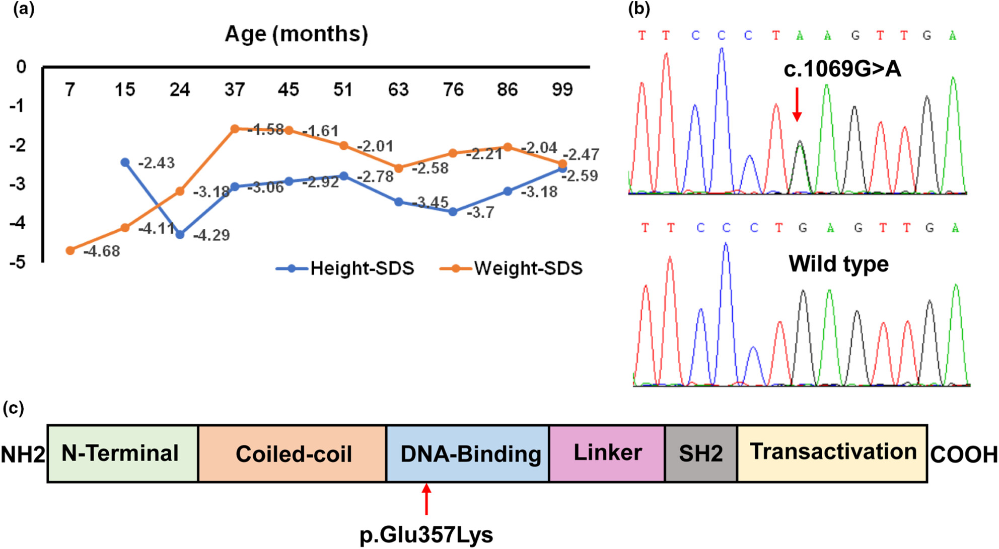 A novel gain-of-function STAT3 variant in infantile-onset diabetes associated with multiorgan autoimmunity