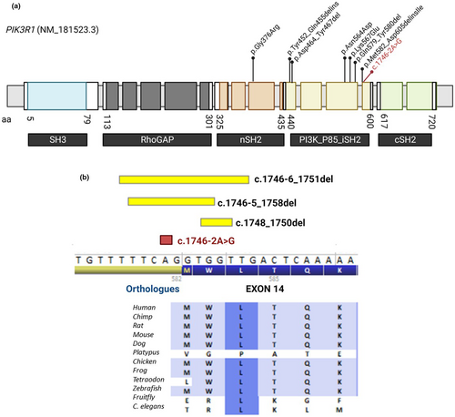 Details are in the caption following the image Details are in the caption following the image