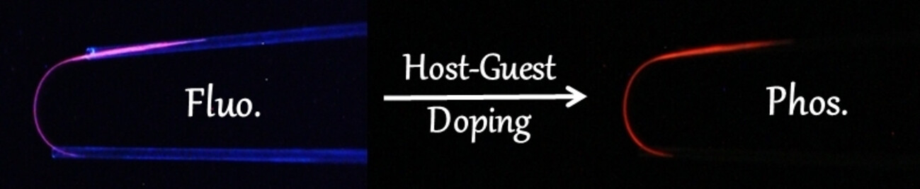 Host–Guest Doping in Flexible Organic Crystals for Room-Temperature Phosphorescence