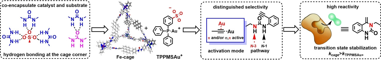 Urea-Functionalized Fe4L6 Cages for Supramolecular Gold Catalyst Encapsulation to Control Substrate Activation Modes