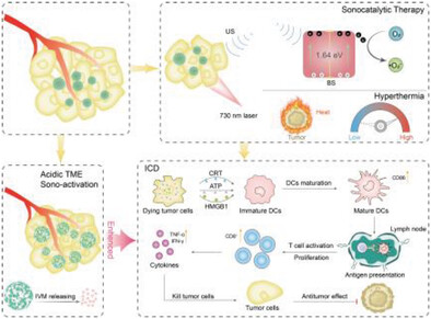 Topological Regulating Bismuth Nano-Semiconductor for Immunogenic Cell Death-Mediated Sonocatalytic Hyperthermia Therapy