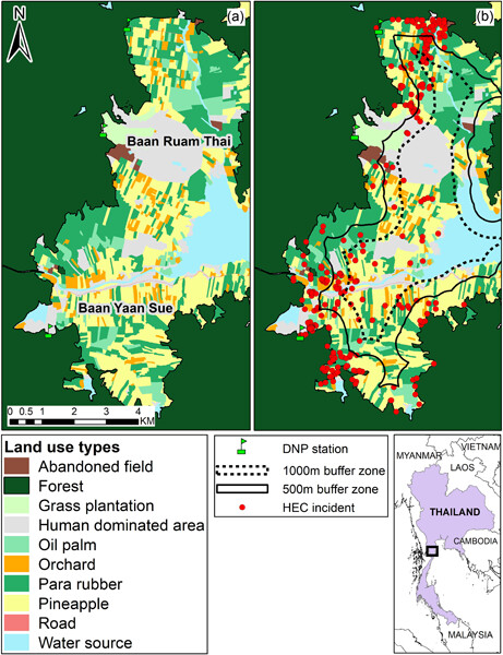 Spatio-temporal dynamics of human−elephant conflict in a valley of pineapple plantations 菠萝种植园中的人象冲突时空动态