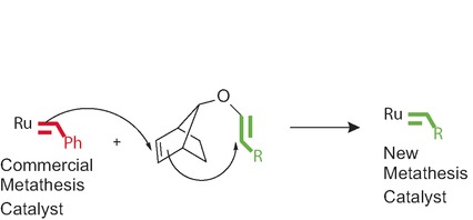 Tandem Ring-Opening–Ring-Closing Metathesis for Functional Metathesis Catalysts