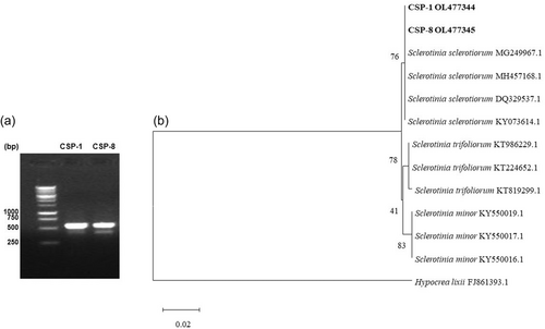 Details are in the caption following the image Details are in the caption following the image
