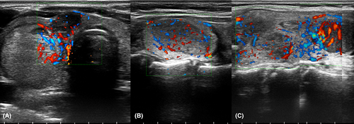Details are in the caption following the image Details are in the caption following the image